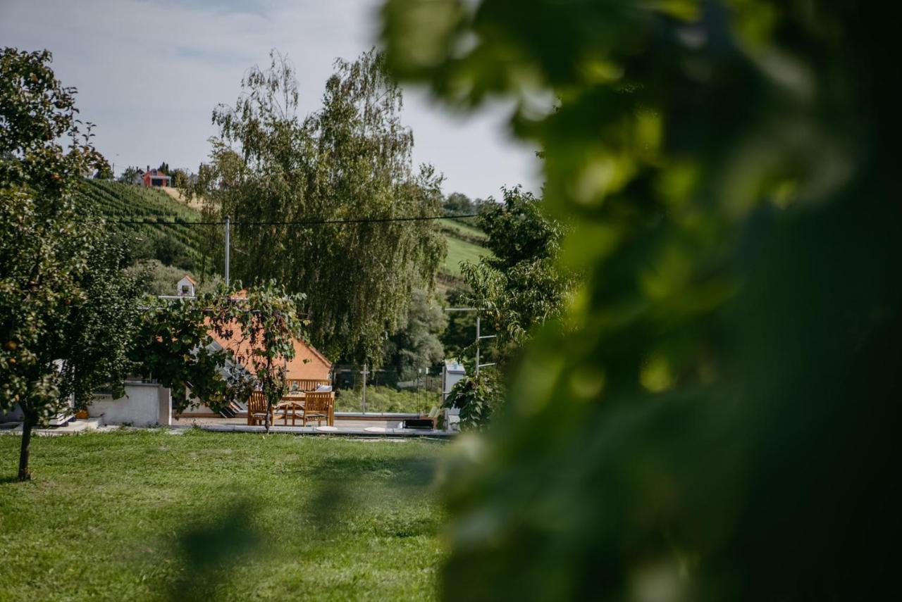Wein Cottage Kellerstoeckl Eisenberg an der Pinka Zewnętrze zdjęcie