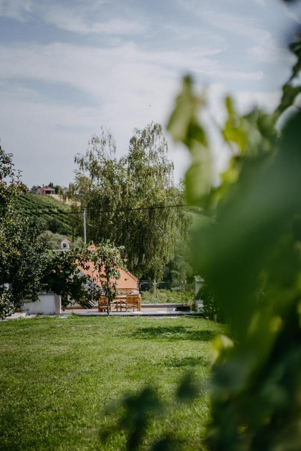 Wein Cottage Kellerstoeckl Eisenberg an der Pinka Zewnętrze zdjęcie